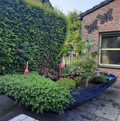 Ons Dorpshuys, Drimmelen openingstijden
