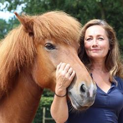 Hamberg Coaching, Garderen openingstijden