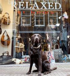 Relaxed Amsterdam, openingstijden