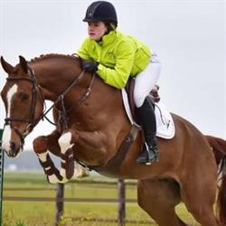 Veiling Dronten, openingstijden