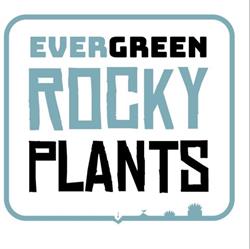Evergreen Rocky Plants, Hazerswoude-Dorp openingstijden