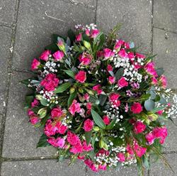 Tuincentrum Almere Haven, openingstijden