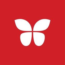 Steenvlinder, Rotterdam openingstijden