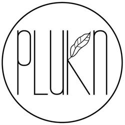 Stichting Plukn, Groningen openingstijden