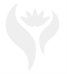Brabant Personenschade, Oss openingstijden