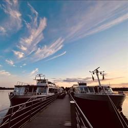 Dutch Cruise Line Bv, Maasbracht openingstijden