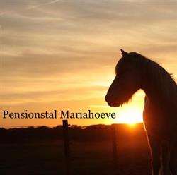 Pensionstal de Mariahoeve, Renkum openingstijden