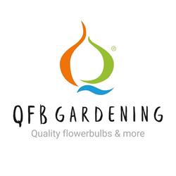 QFB Gardening B.V., Hillegom openingstijden