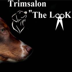 Trimsalon ''The look'', Duiven openingstijden