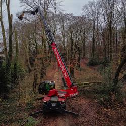Boomontzorging B.V., Herveld openingstijden