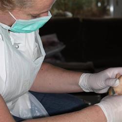 Marions Pedicure, Delft openingstijden
