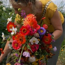 Warmoes, Historische tuinderij Lent, openingstijden