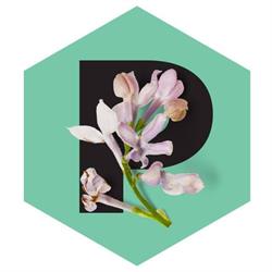 Stichting The Pollinators, Amsterdam openingstijden