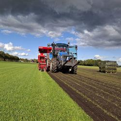 Woldgras Graszoden, Siddeburen openingstijden