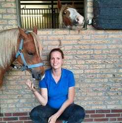 Dierfysiotherapie Marion van Hoof, Boxmeer openingstijden