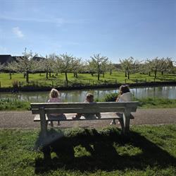 Anita's Hummelhonk, Odijk openingstijden