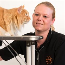 Kattentrimsalon Maneschijn, Linschoten openingstijden