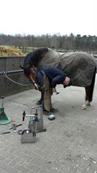 Hoefsmederij D.J.G. de Rooij / De Rooij Hoofcare, Heukelum openingstijden