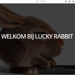 Lucky Rabbit Design, Geldrop openingstijden