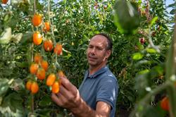 Carnas, Biologisch Glastuinbouwbedrijf, Waarland openingstijden