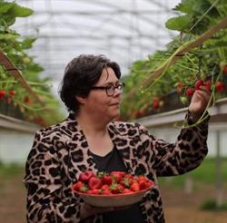 Boerderijwinkel het Aardbeienvrouwtje, Nederweert openingstijden