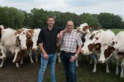 Bos, Deventer openingstijden