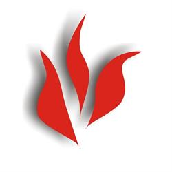 Vestrium, Tynaarlo openingstijden