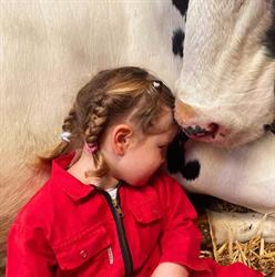 Theeschenkerij Bij ons op de Boerderij, Swifterbant openingstijden
