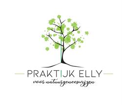 Praktijk Elly voor Natuurgeneeswijzen, Gorredijk openingstijden