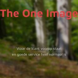 The One Image, Amersfoort openingstijden