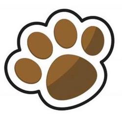 Kattenkapster, Stevensweert openingstijden