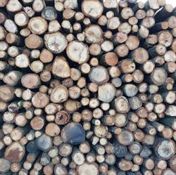Hazeleger Hout, Putten openingstijden