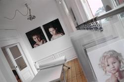 Leo den Ouden Fotografie, Delft openingstijden