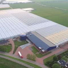 Kwekerij Waalzicht, Poederoijen openingstijden
