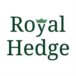 Royal Hedge, Dongen openingstijden