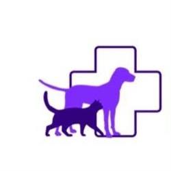 Dierenkliniek Beter Dier, Kattenpension Beter Dier, Almere openingstijden