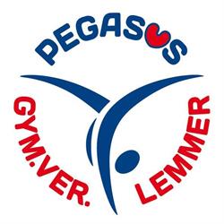 Pegasus Lemmer, openingstijden