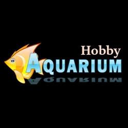 Hobbyaquarium, Tilburg openingstijden