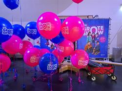 Ballonnenpartners, Westknollendam openingstijden