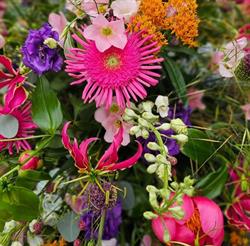 Bloom Beej Tess, Venlo openingstijden