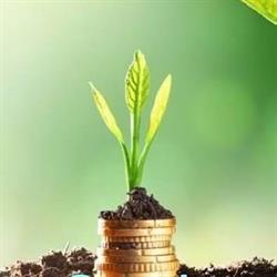 MeulenbroekFarmers International Finance and Invest, Borne openingstijden