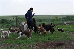 Shuki's dog services, Vreeland openingstijden