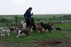 Shuki's dog services, Vreeland openingstijden
