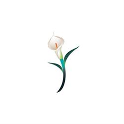 Calla Lelie, Kapelle openingstijden