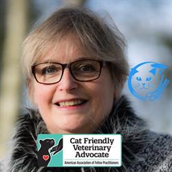 Ingrid's Top Cat Consulten, Haaren openingstijden