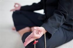 Zazen Yoga, Rijsenhout openingstijden