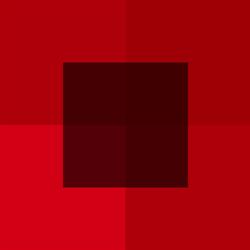 Studio Red Pixel, Almere openingstijden