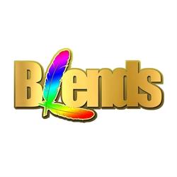 Blends Carnival Group, Rotterdam openingstijden