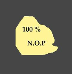 100% N O P Koeriersdiensten, Emmeloord openingstijden