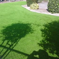 Muschkunstgras, Apeldoorn openingstijden